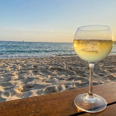 La Diva Du Festival - 12 Mn A Pied Palais & Plages - Cosy & Calme - Clim - Wifi - Parking Prive * Cannes